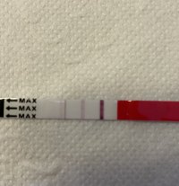 IMG_7978.jpeg IMG_7978.jpeg