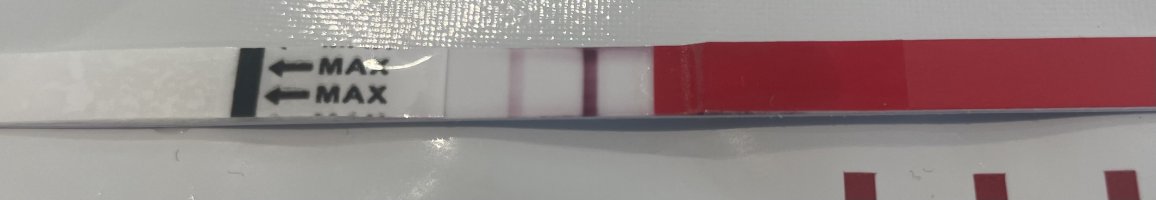 IMG_8382.jpeg IMG_8382.jpeg