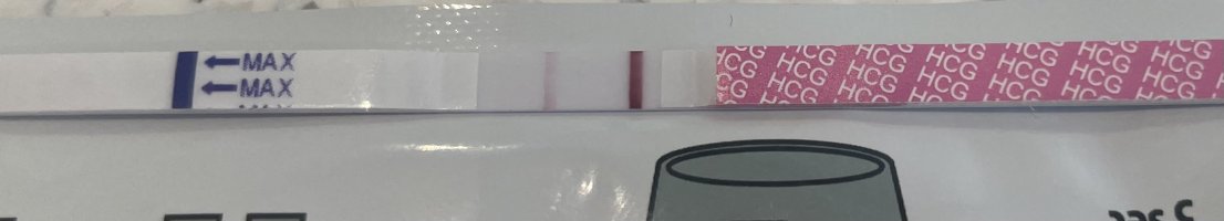 IMG_8381.jpeg IMG_8381.jpeg