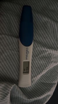 IMG_1351.jpeg IMG_1351.jpeg