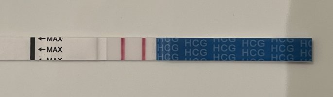 IMG_0718.jpeg IMG_0718.jpeg