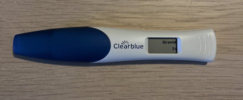 IMG_0720.jpeg IMG_0720.jpeg