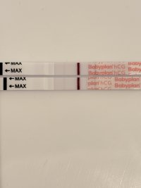 IMG_3512.jpeg IMG_3512.jpeg