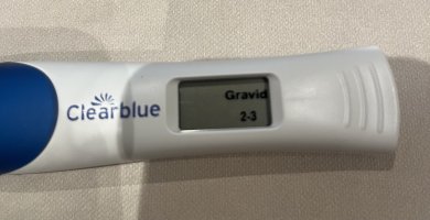 IMG_7482.jpeg IMG_7482.jpeg