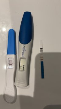 IMG_5001.jpeg IMG_5001.jpeg