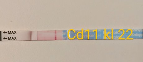 PXL_20250426_195512779.MP~2.jpg PXL_20250426_195512779.MP~2.jpg