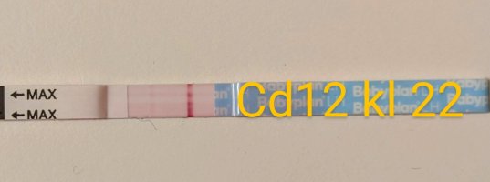 PXL_20250427_195201879.MP~3.jpg PXL_20250427_195201879.MP~3.jpg