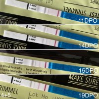 91F3F13E-DCA7-4A2D-BC4A-BE0280D17D23.jpeg 91F3F13E-DCA7-4A2D-BC4A-BE0280D17D23.jpeg