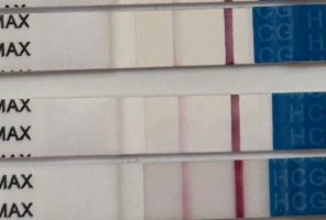 IMG_3860.jpeg IMG_3860.jpeg