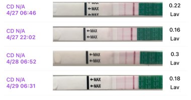 IMG_6947.jpeg IMG_6947.jpeg