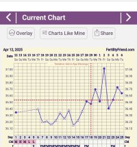 Screenshot_20250506_170820_FF App.jpg