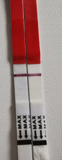 IMG_20250509_201123.jpg IMG_20250509_201123.jpg