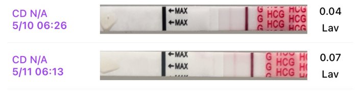 IMG_7045.jpeg IMG_7045.jpeg