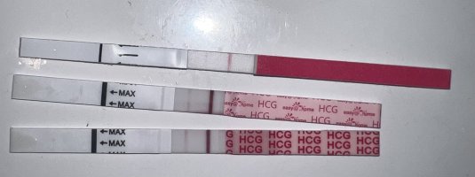 IMG_7044.jpeg IMG_7044.jpeg