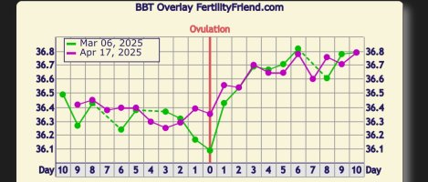 IMG_7042.jpeg IMG_7042.jpeg