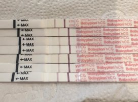 IMG_6286.jpeg IMG_6286.jpeg