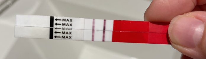 IMG_7402.jpeg IMG_7402.jpeg