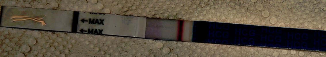 1000015841.jpg 1000015841.jpg