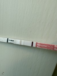 IMG_4985.jpeg IMG_4985.jpeg