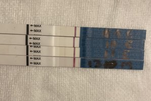 IMG_5322.jpeg IMG_5322.jpeg