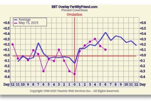 Screenshot_20250607-082149_FF App.jpg