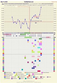 Screenshot_20250609-110901_FF App.jpg