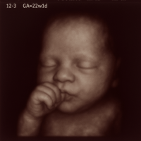 ChatGPT Image Jun 12, 2025, 09_18_20 PM.png