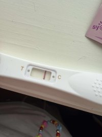 508170379_612498685193490_5321059138017232383_n.jpg 508170379_612498685193490_5321059138017232383_n.jpg