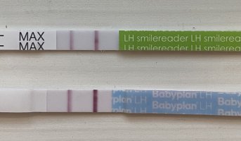 IMG_9069.jpeg IMG_9069.jpeg