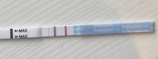 IMG_9159.jpeg IMG_9159.jpeg