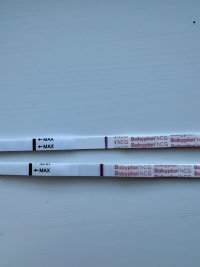 IMG_9081.jpeg IMG_9081.jpeg