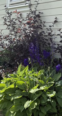 IMG_1514.jpeg IMG_1514.jpeg