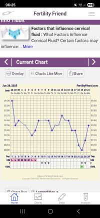 Screenshot_20250721_062505_FF App.jpg