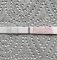 8B43EC2F-AA92-4999-A0E1-53DB21883306.jpeg 8B43EC2F-AA92-4999-A0E1-53DB21883306.jpeg