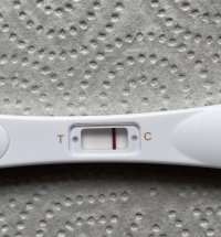 D43BDB6C-C87E-467A-B039-8A4A1A65EEFC.jpeg D43BDB6C-C87E-467A-B039-8A4A1A65EEFC.jpeg