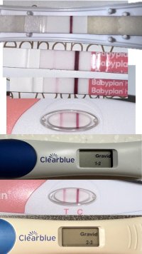 IMG_7274.jpeg IMG_7274.jpeg