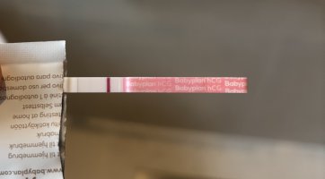 IMG_5920.jpeg IMG_5920.jpeg