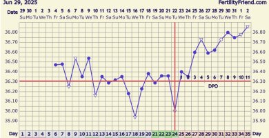 IMG_5922.jpeg IMG_5922.jpeg