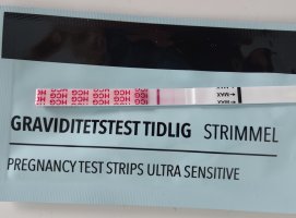 IMG_20250803_162819.jpg IMG_20250803_162819.jpg