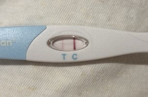 IMG_5869.jpeg IMG_5869.jpeg