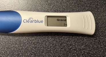 IMG_7371.jpeg IMG_7371.jpeg