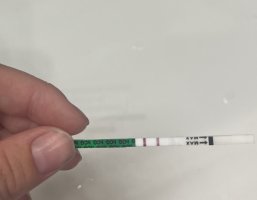 IMG_0820.jpeg IMG_0820.jpeg