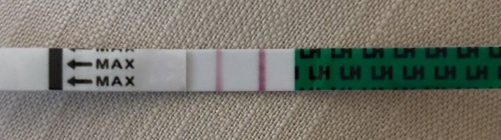 IMG_5927.jpeg IMG_5927.jpeg