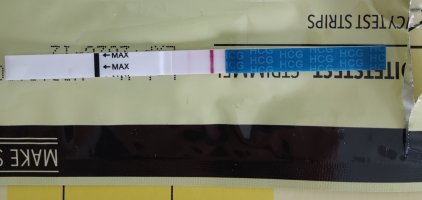 IMG_20250805_195051.jpg IMG_20250805_195051.jpg