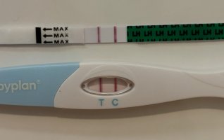 IMG_5949.jpeg IMG_5949.jpeg