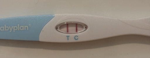 IMG_5951.jpeg IMG_5951.jpeg