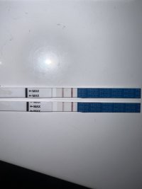 IMG_7367.jpeg IMG_7367.jpeg