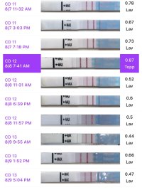 IMG_9960.jpeg IMG_9960.jpeg