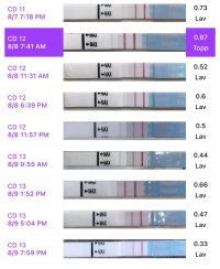 IMG_9962.jpeg IMG_9962.jpeg