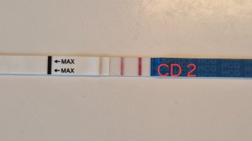 20250810_140904.jpg 20250810_140904.jpg